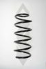 SPIDAN 85348 Coil Spring